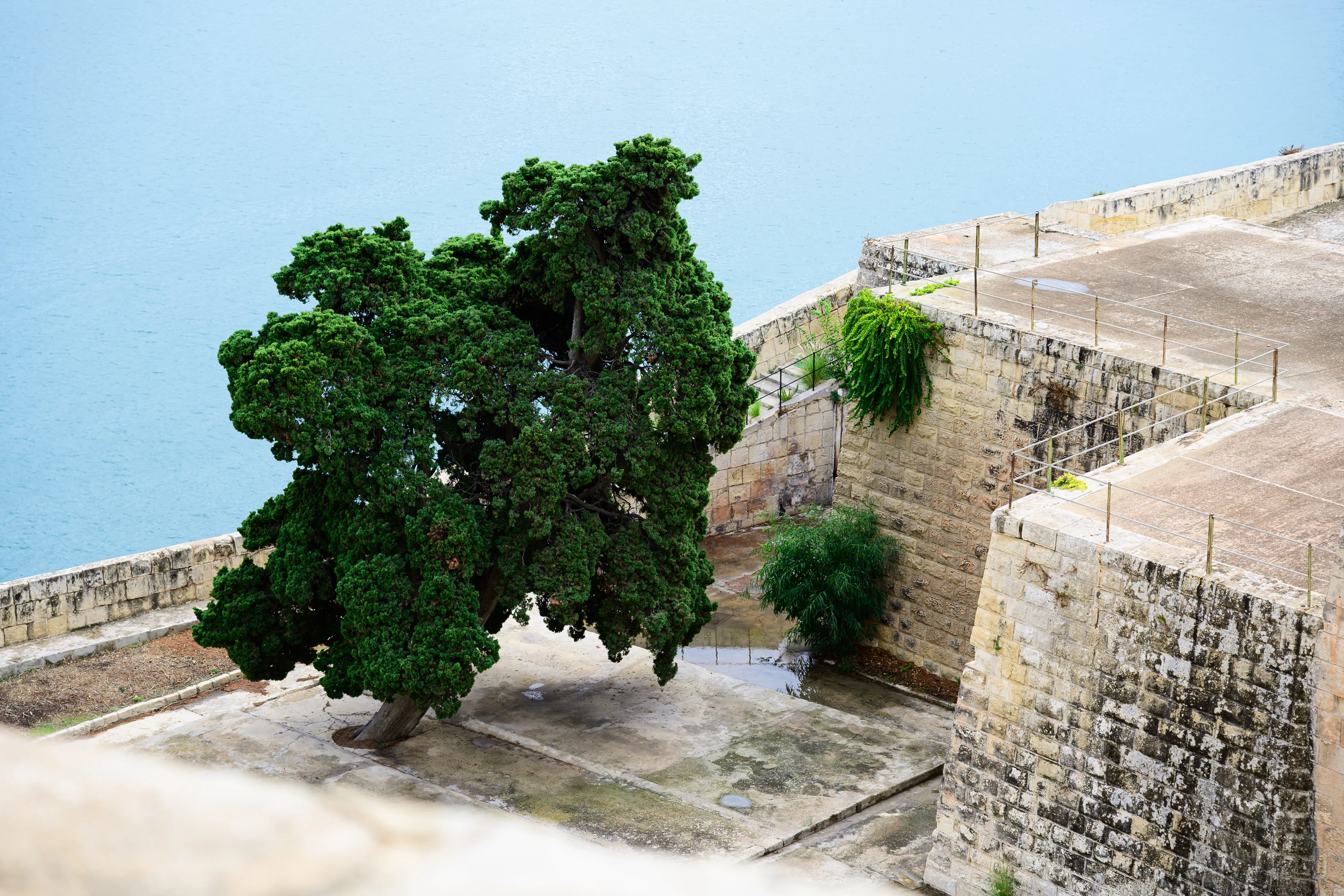 Malta